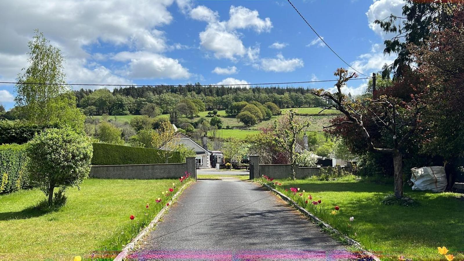 Avonbeg Cottages 2 Bed 1 Bath Accommodate 3 Guests Rathdrum Eksteriør bilde