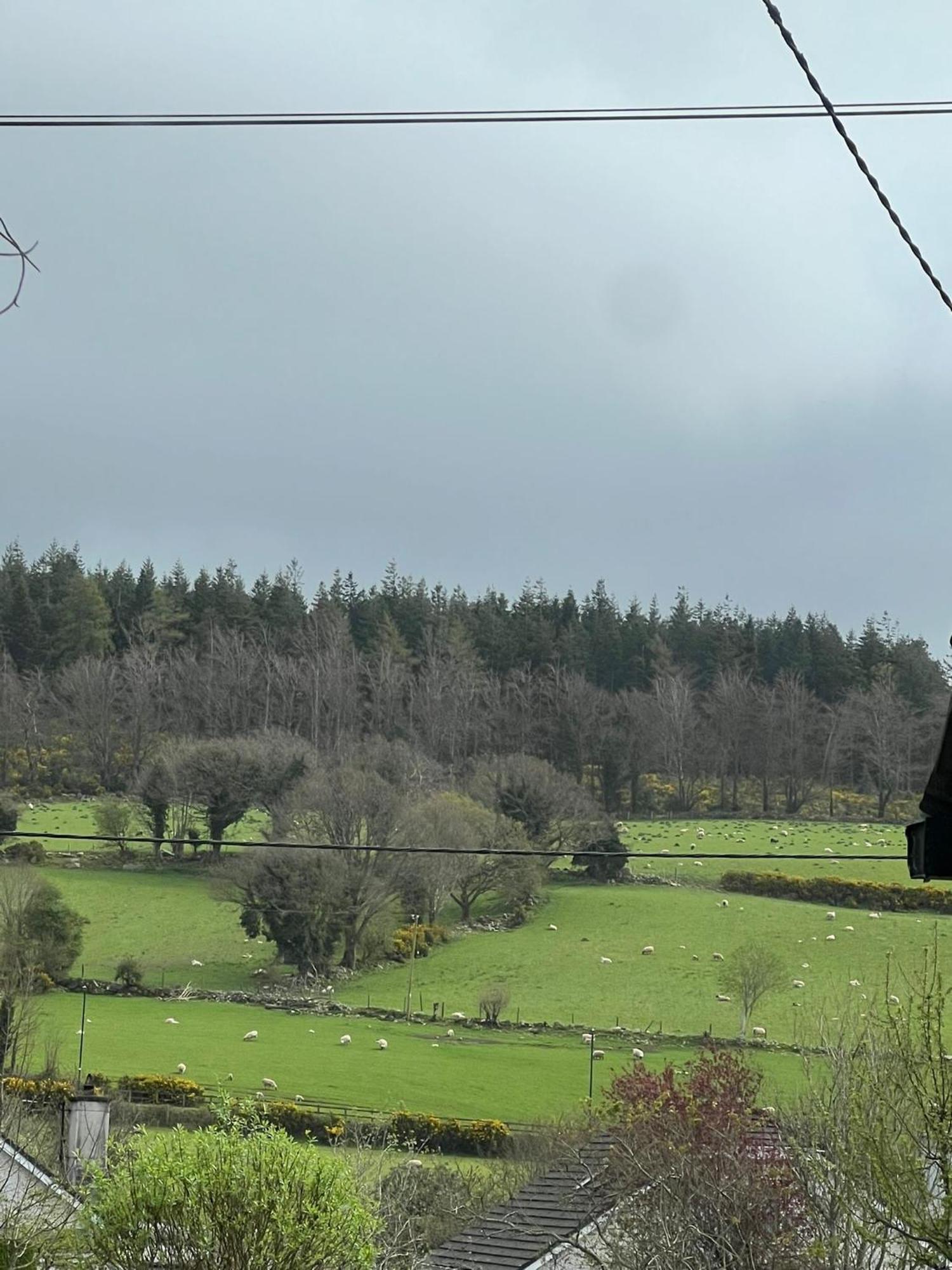 Avonbeg Cottages 2 Bed 1 Bath Accommodate 3 Guests Rathdrum Eksteriør bilde